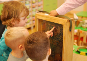 Dzieci oglądają gablotkę z pszczołami pracującymi w plastrze miodu.