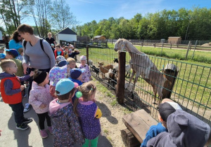 dzieci na wycieczce w zoo