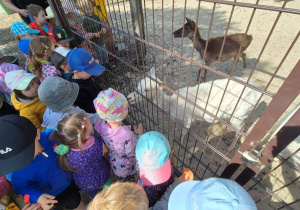 dzieci na wycieczce w zoo