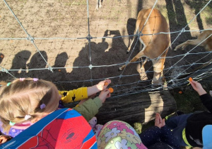 dzieci na wycieczce w zoo