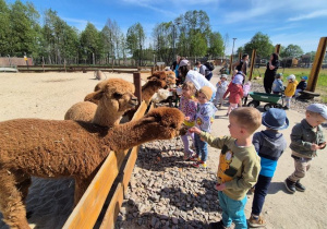 dzieci na wycieczce w zoo