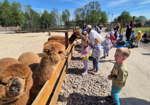 dzieci na wycieczce w zoo