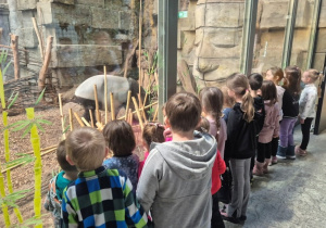 dzieci zwiedzają zoo