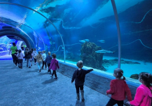 dzieci zwiedzają zoo