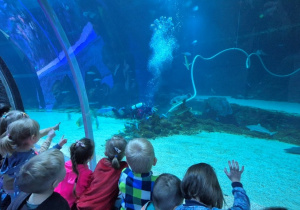 dzieci zwiedzają zoo