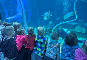 dzieci zwiedzają zoo