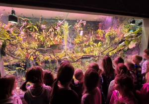 dzieci zwiedzają zoo