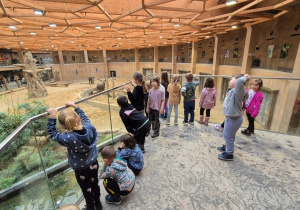 dzieci zwiedzają zoo
