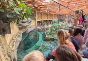dzieci zwiedzają zoo